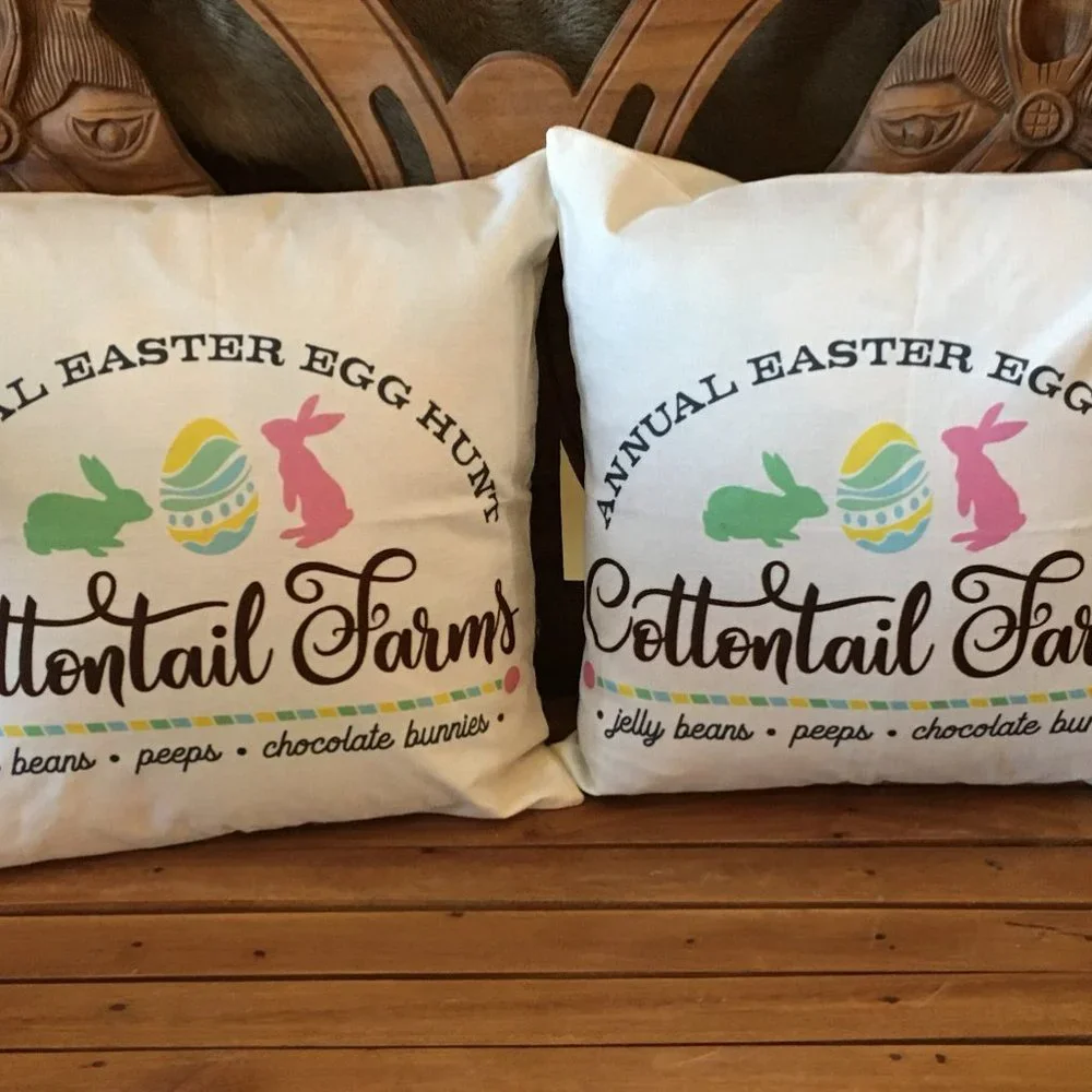 SET OF TWO (2) Easter Bunny Rabbit Pillow Cover 18 x 18 Cottontail Farms NEW